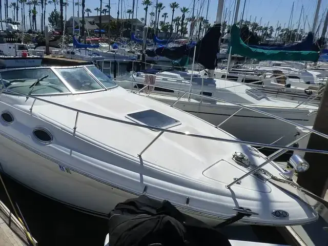 Sea Ray 260 Sundancer