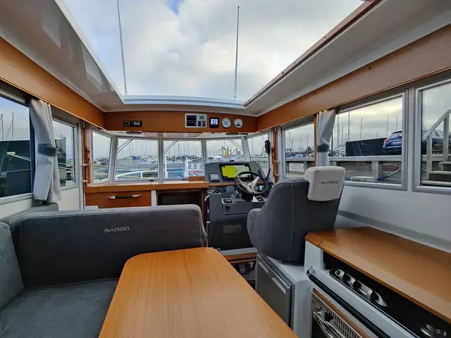 Sargo 31