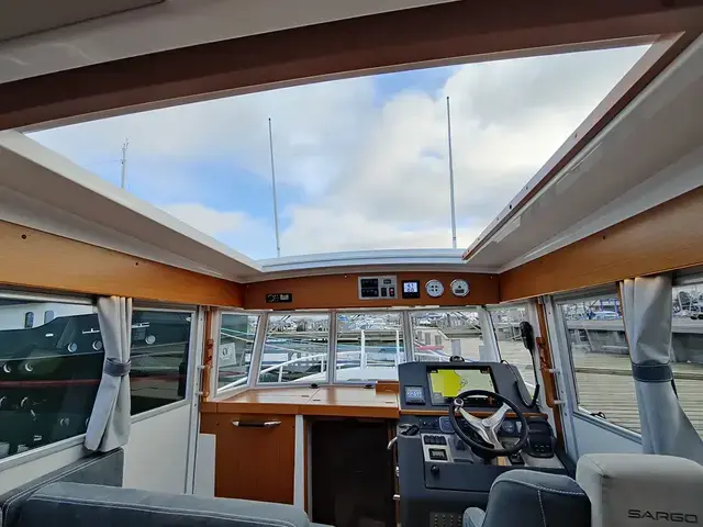 Sargo 31