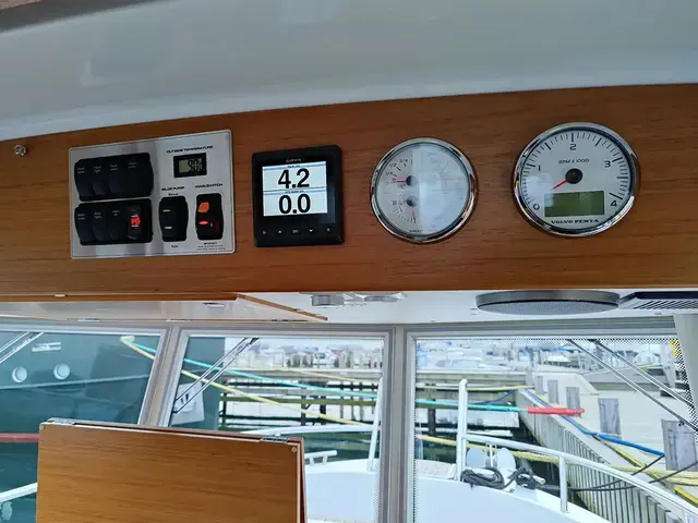 Sargo 31