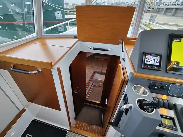 Sargo 31