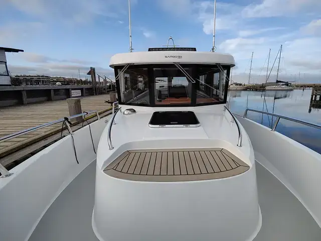 Sargo 31