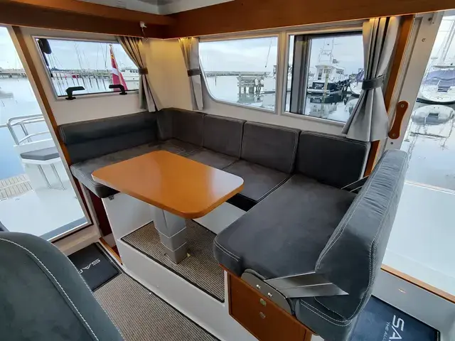 Sargo 31