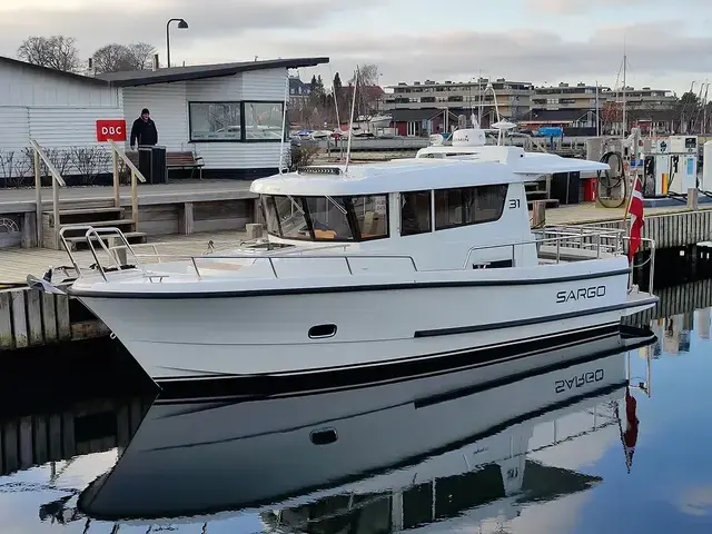 Sargo 31