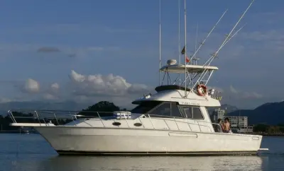 Azimut 38