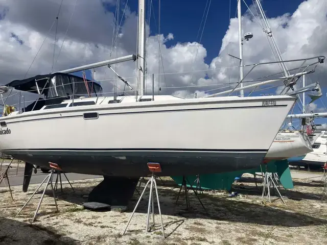 Catalina 320