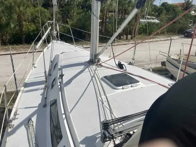 Catalina 320