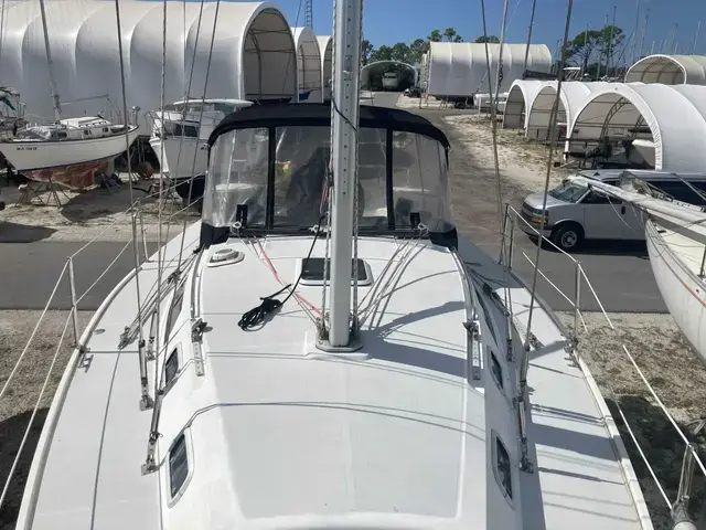 Catalina 320