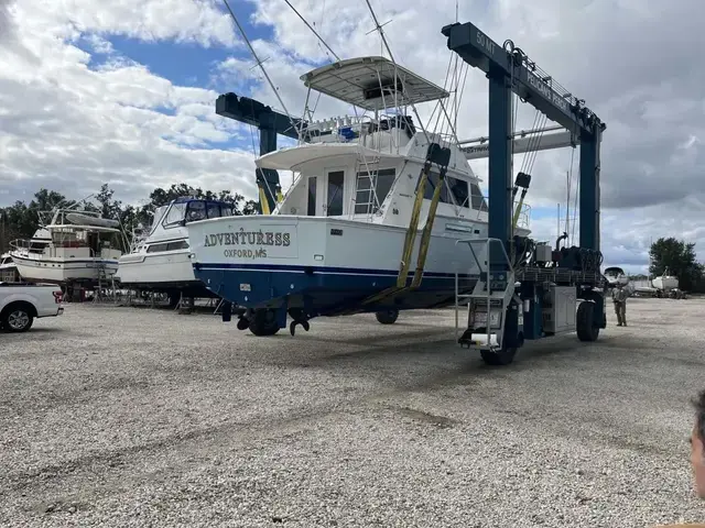 Bertram Convertible