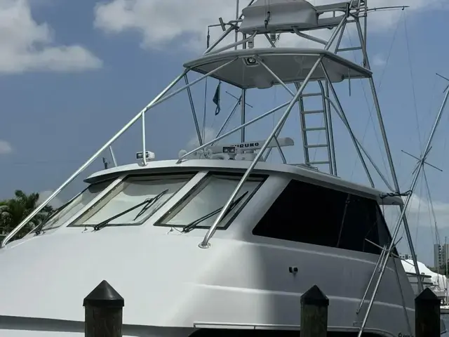 Hatteras Convertible