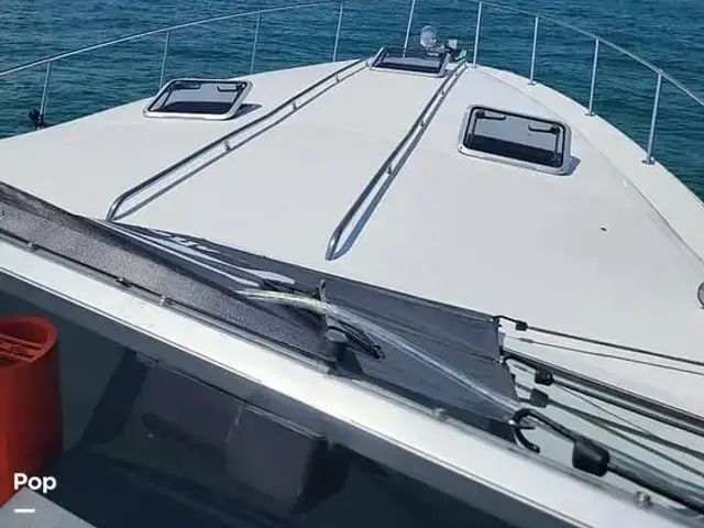 Sea Ray 390 Express Cruiser