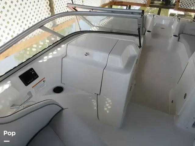 Splendor 239 Sunstar