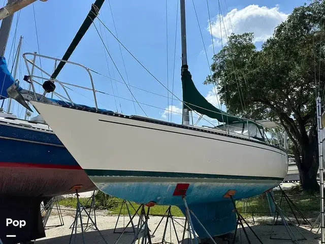 Tartan 33