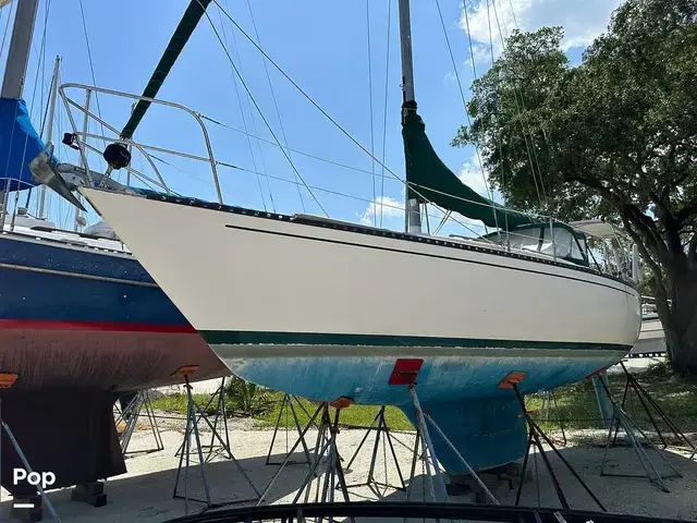 Tartan 33