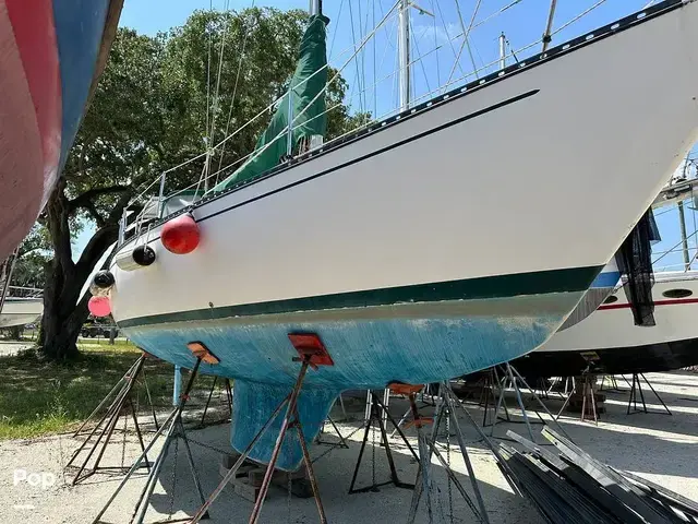 Tartan 33