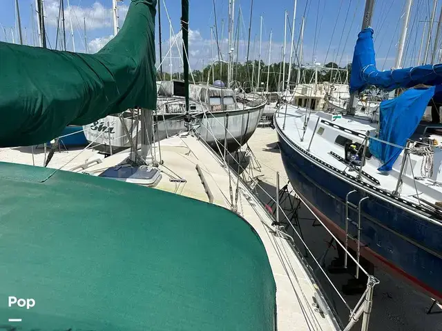 Tartan 33