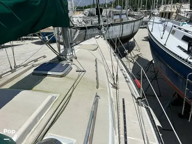 Tartan 33