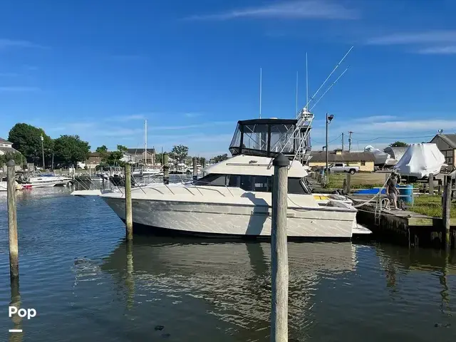 Silverton 34 Convertible