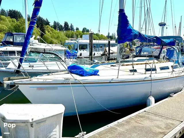 Catalina 36