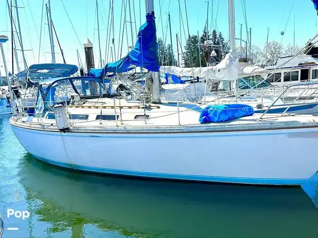 Catalina 36