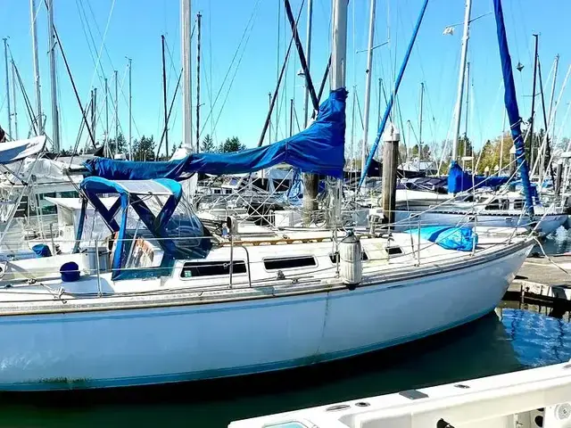 Catalina 36