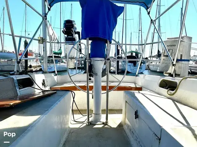 Catalina 36