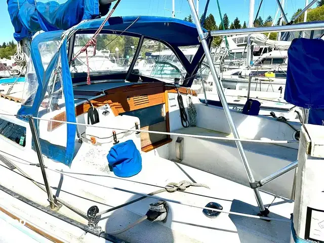 Catalina 36