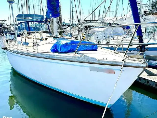 Catalina 36