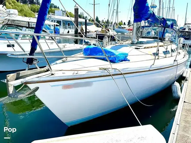 Catalina 36