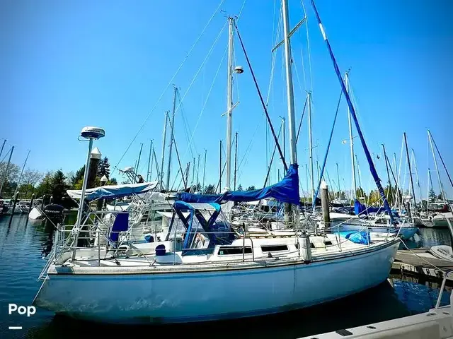 Catalina 36