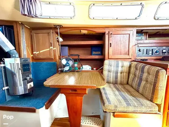 Catalina 36