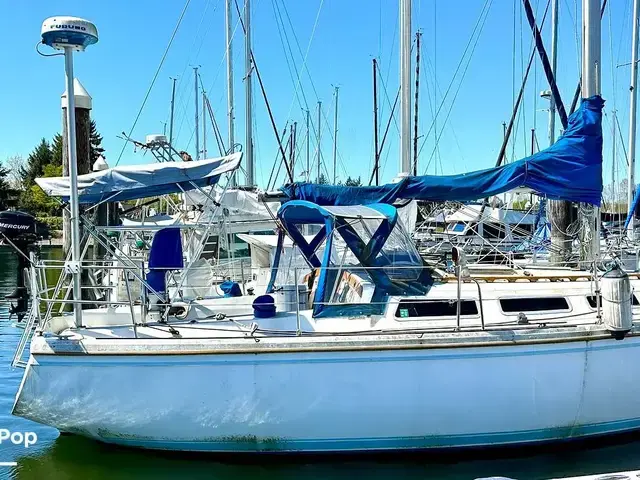 Catalina 36