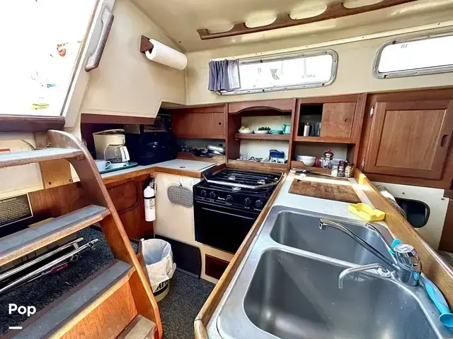 Catalina 36