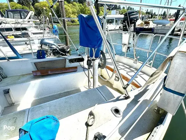 Catalina 36