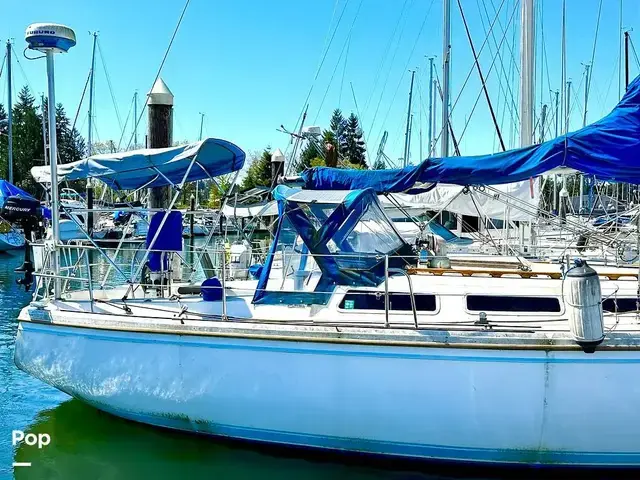 Catalina 36