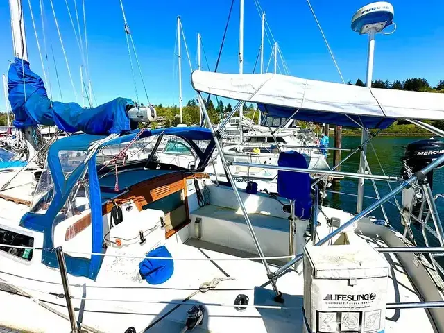 Catalina 36