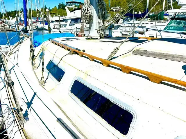 Catalina 36