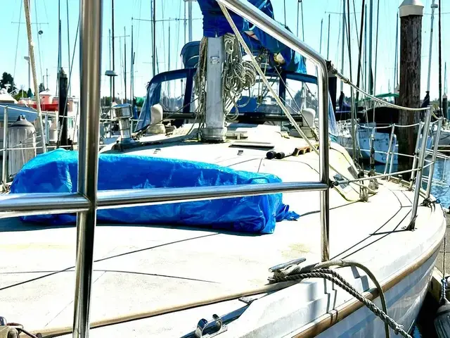 Catalina 36