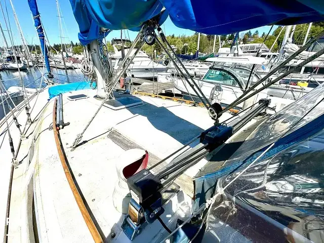 Catalina 36