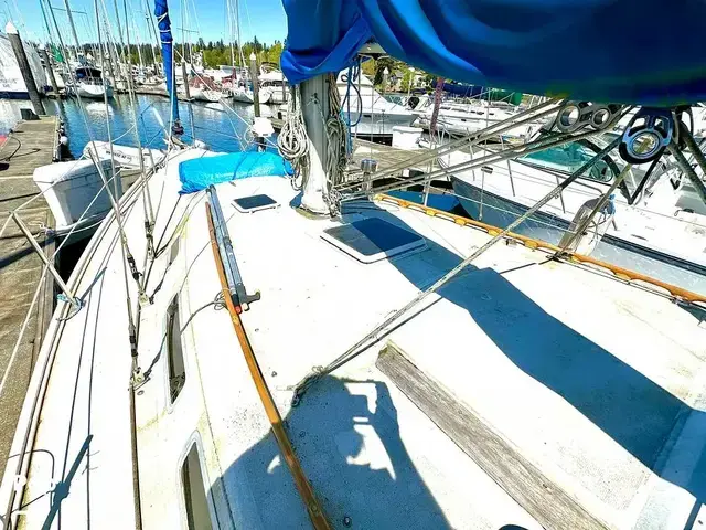 Catalina 36