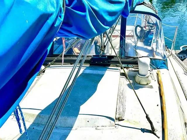 Catalina 36