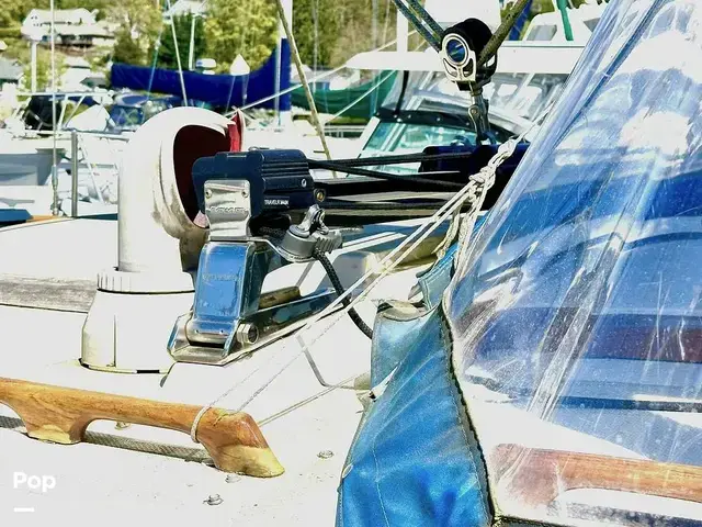 Catalina 36