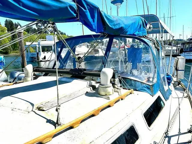 Catalina 36