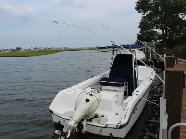 Boston Whaler 23 Outrage