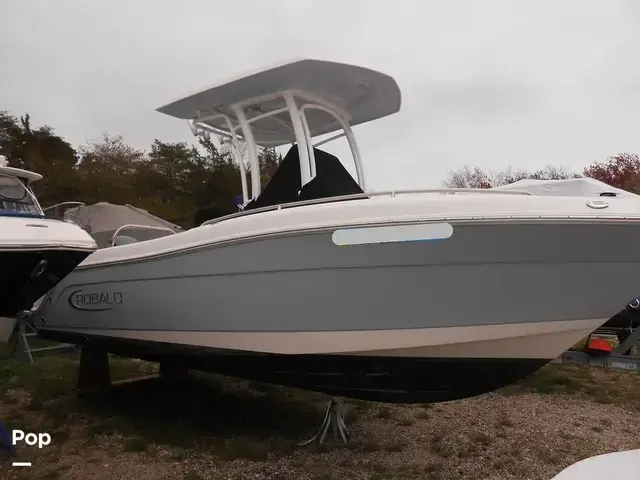 Robalo R222 Cc