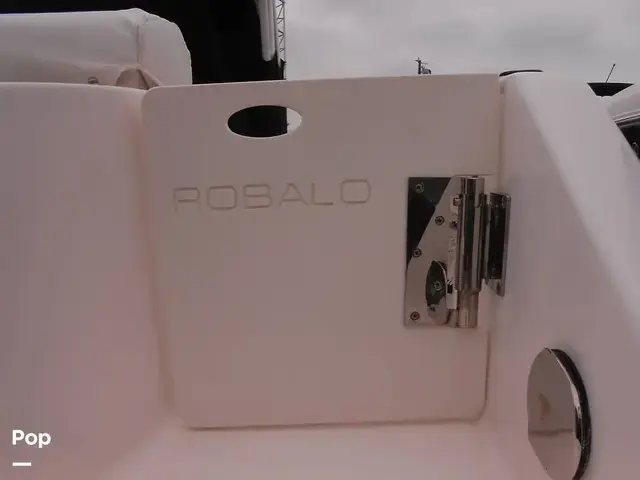 Robalo R222 Cc