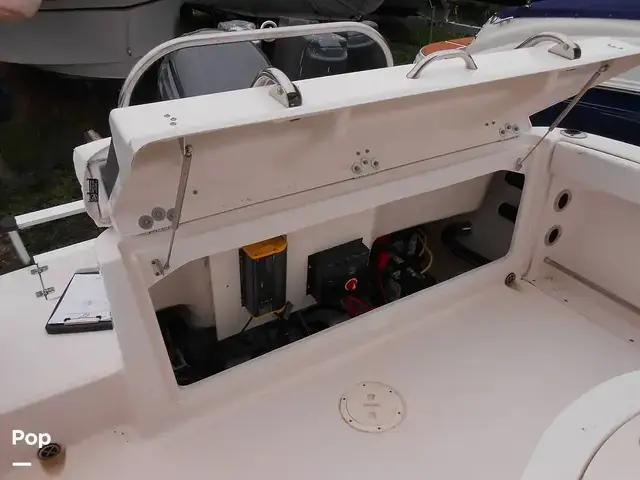 Robalo R222 Cc