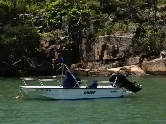 Boston Whaler 170 Montauk