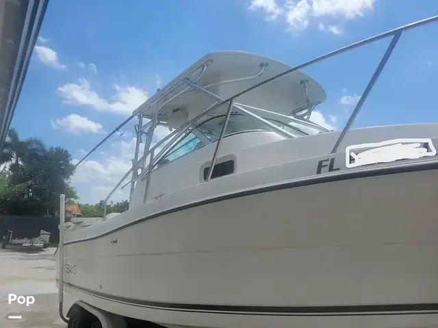 Robalo R235 Walkaround