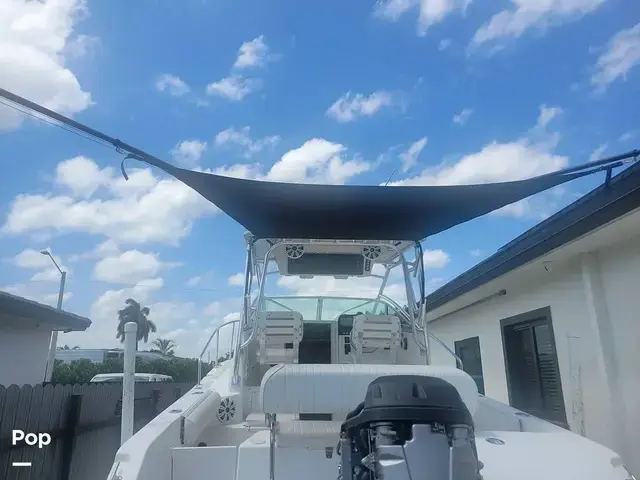 Robalo R235 Walkaround